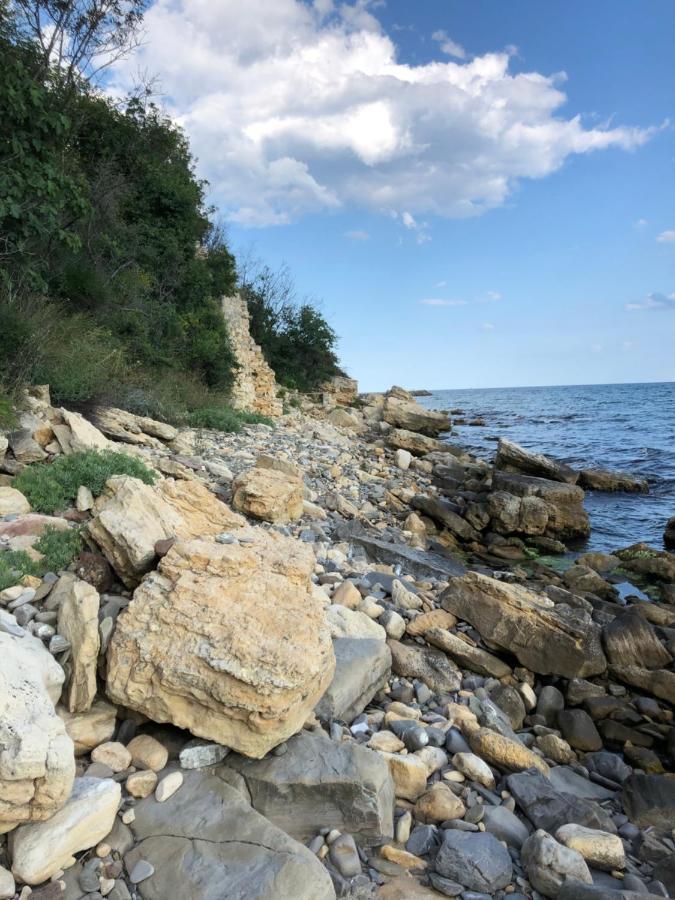 Coral Beach Корал Бийч 스베티 블라스 외부 사진